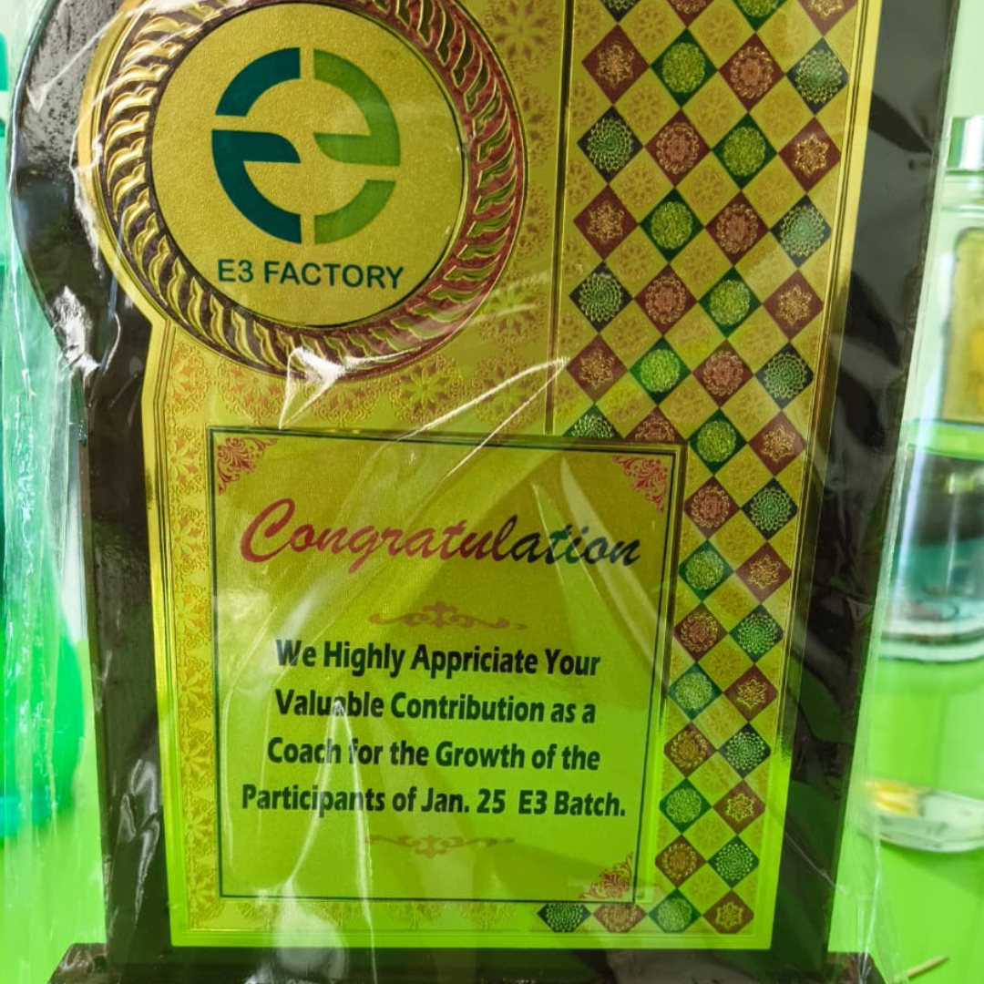 E3 Factory Award